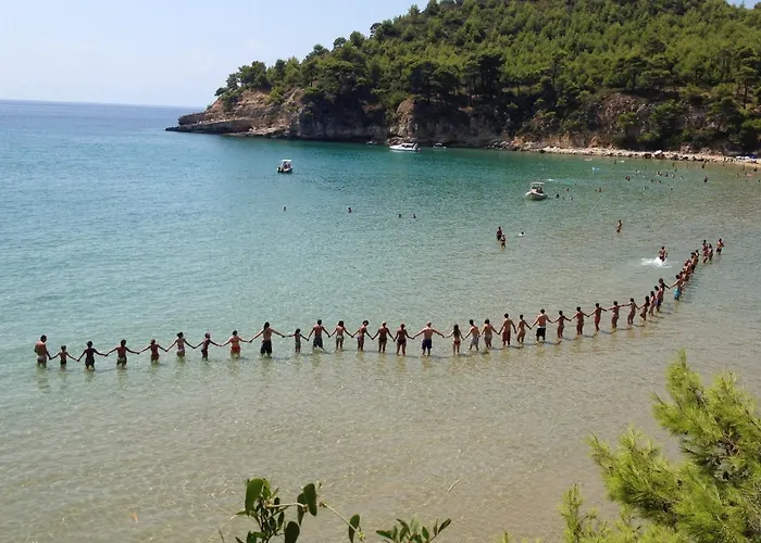 Alonissos Beach Bungalows And Suites Hotel