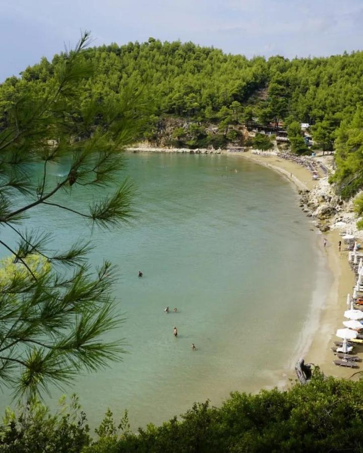 Alonissos And Resort 4*